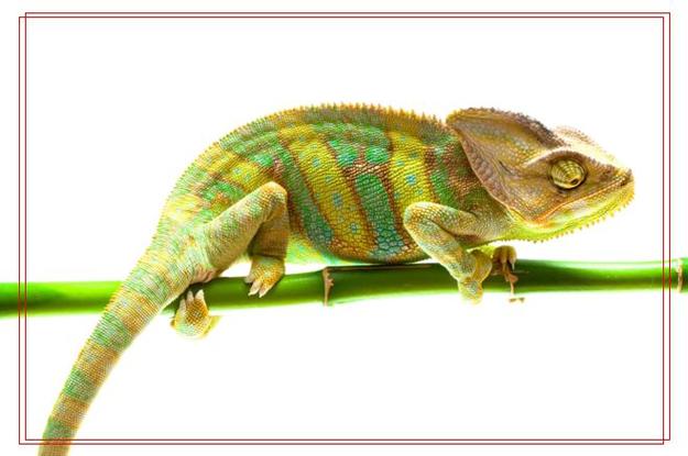 Văn phòng Viện FV 88 đăng ký tài khoản nhân dân tối cao đón nhận Cờ thi đua Chính phủ và ký Giao ước thi đua năm 2017